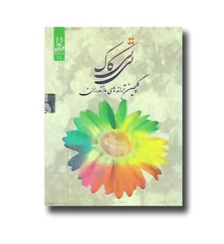 سی دی تتی کاک- والتی