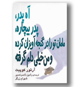 کتاب آه پدر پدر بیچاره مامان تو را در گنجه آویزان کرده و من خیلی دلم گرفته