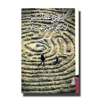 کتاب اثری غم انگیز از نبوغی بهت آور