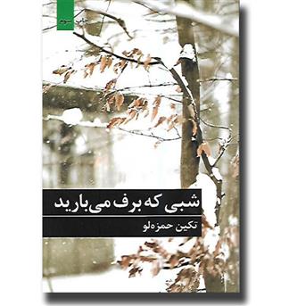 کتاب شبی که برف می بارید