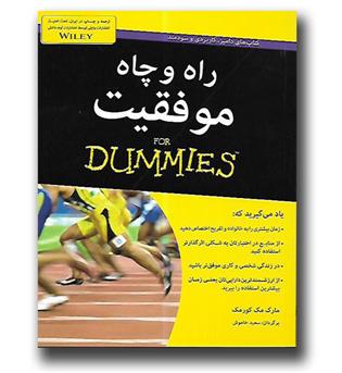 کتاب راه و چاه موفقیت for dummies