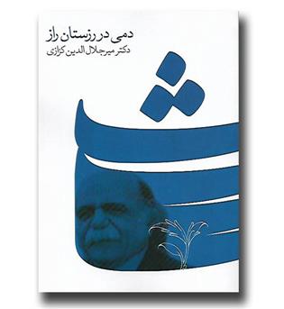 کتاب دمی در رزستان راز