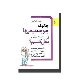 کتاب چگونه جوجه تیغی ها را بغل کنیم 