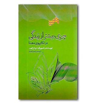 کتاب چیزی بیشتر از زندگی(در تکاپوی معنا)